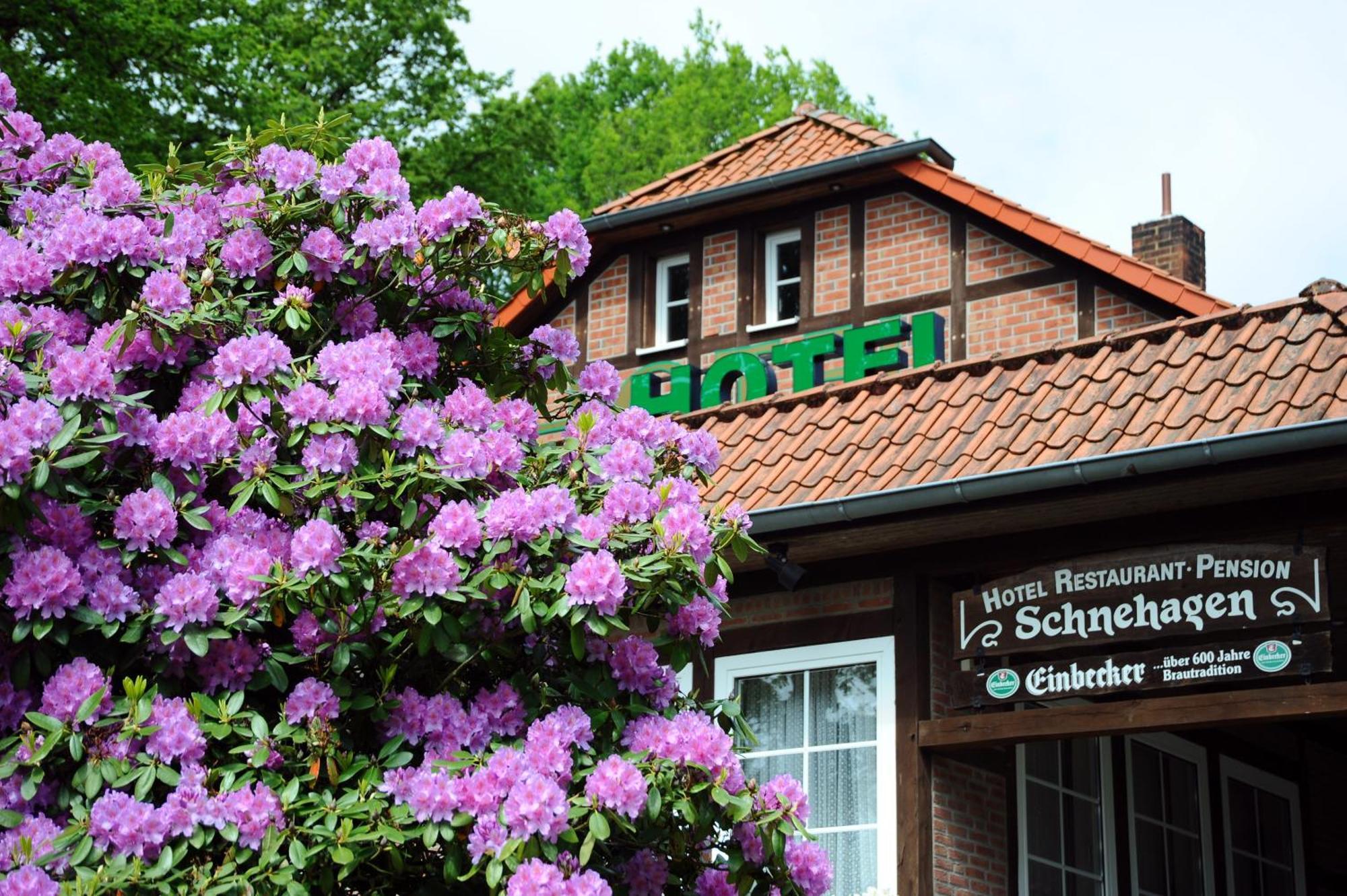 Hotel Schnehagen Bad Fallingbostel Dış mekan fotoğraf